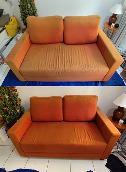 Ribeiro Higieniza