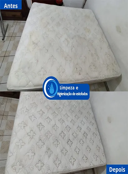 Ribeiro Higieniza