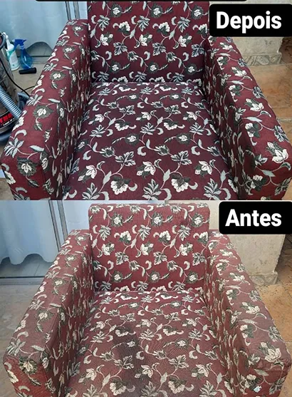 Ribeiro Higieniza